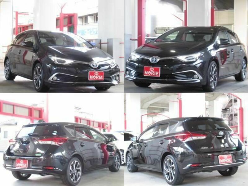 AURIS
