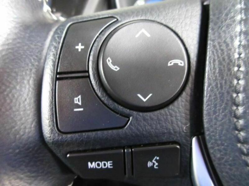 AURIS