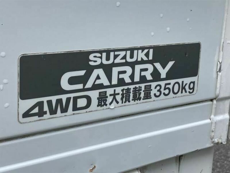 CARRY TRUCK