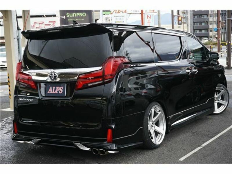 ALPHARD-13