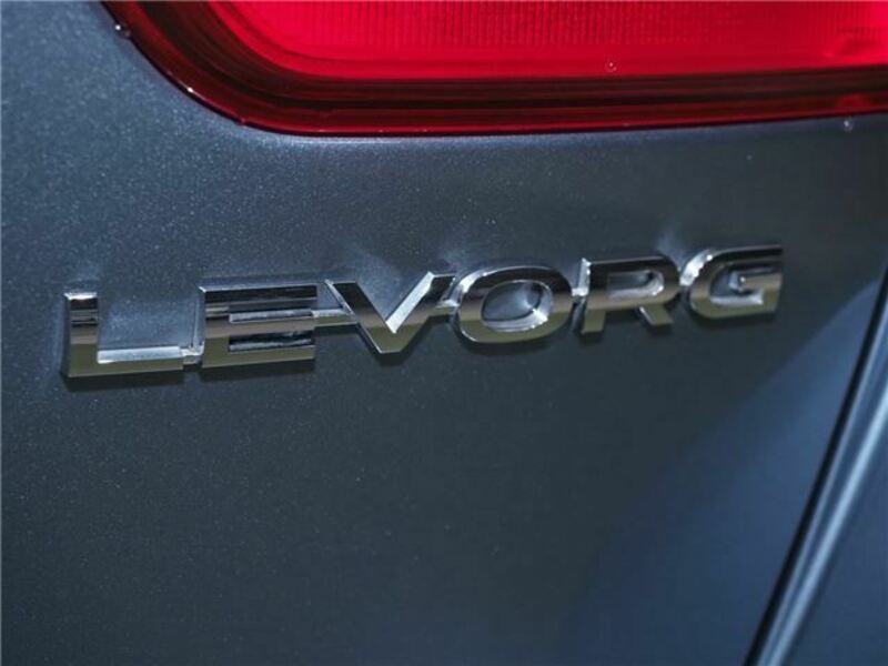 LEVORG-35