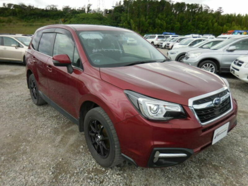 FORESTER