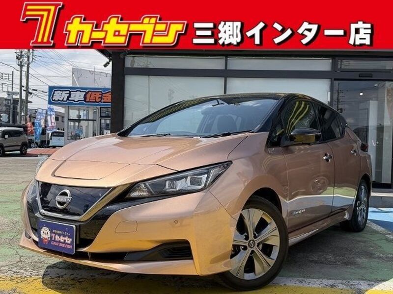 NISSAN LEAF