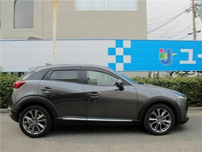 CX-3-9