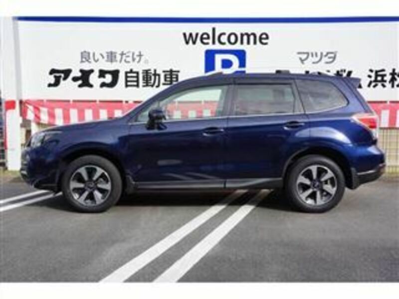 FORESTER-4