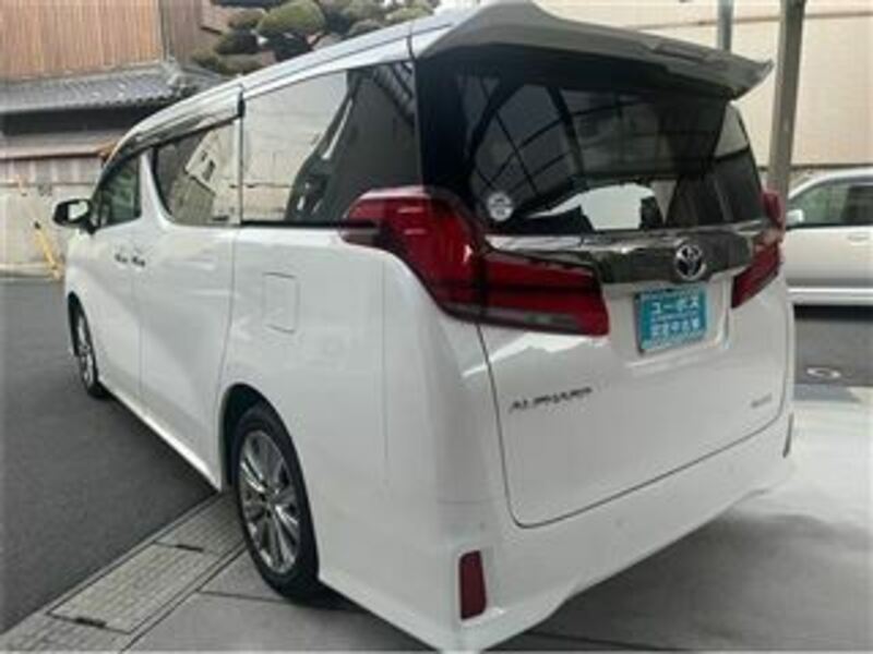 ALPHARD-6