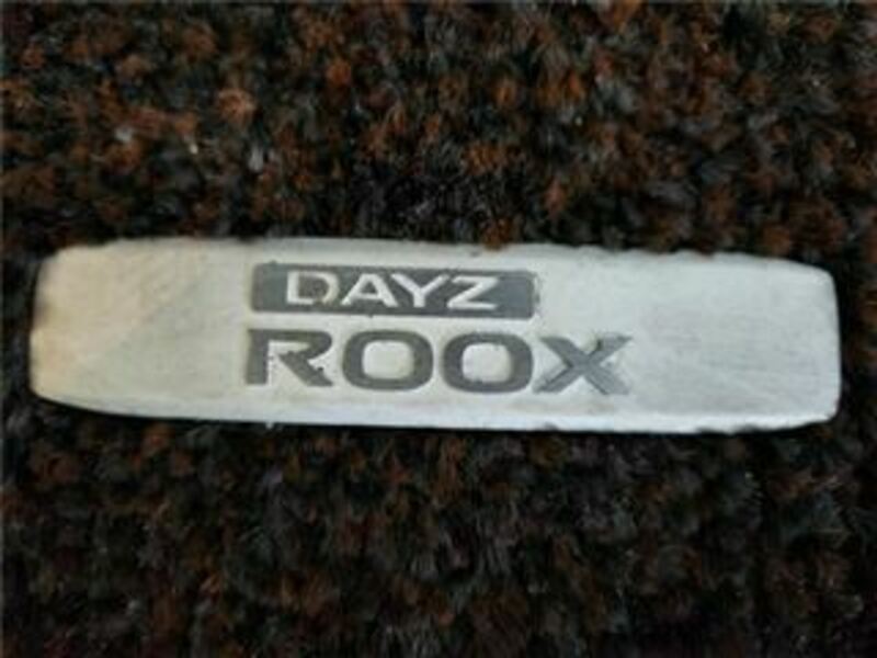 DAYZ ROOX-33