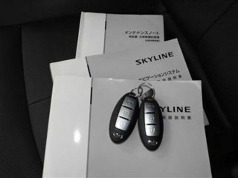 SKYLINE-25