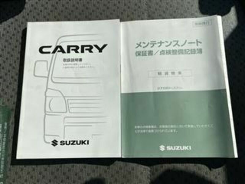 CARRY TRUCK-24