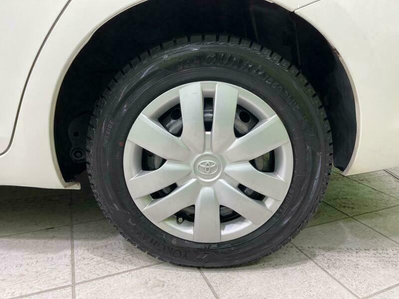 BELTA