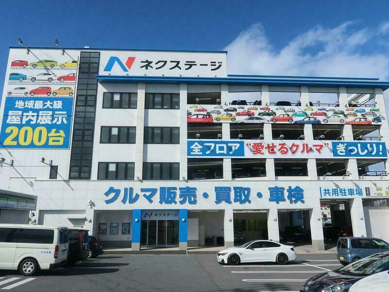 AURIS