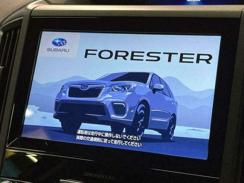 FORESTER