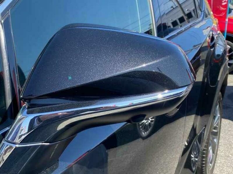NX