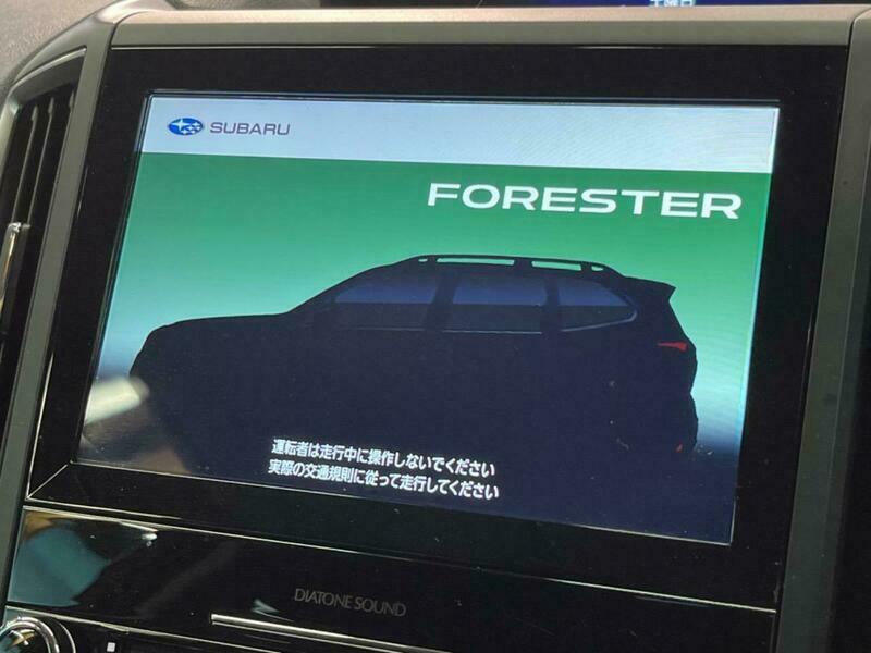 FORESTER