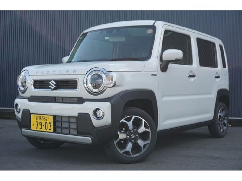 SUZUKI HUSTLER