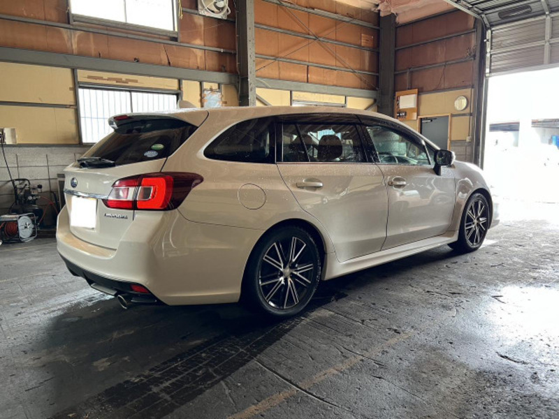 LEVORG