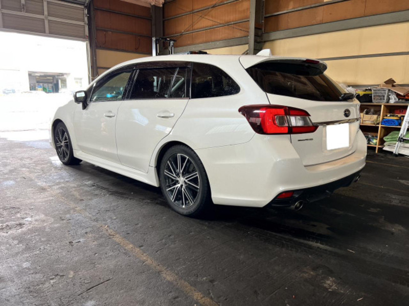 LEVORG