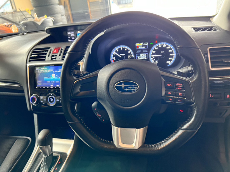 LEVORG
