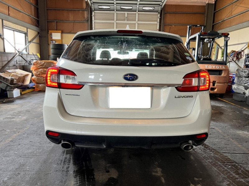 LEVORG