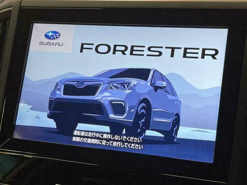 FORESTER-36