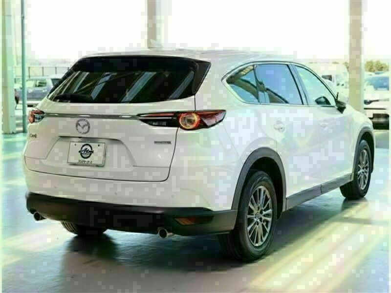 CX-8-6