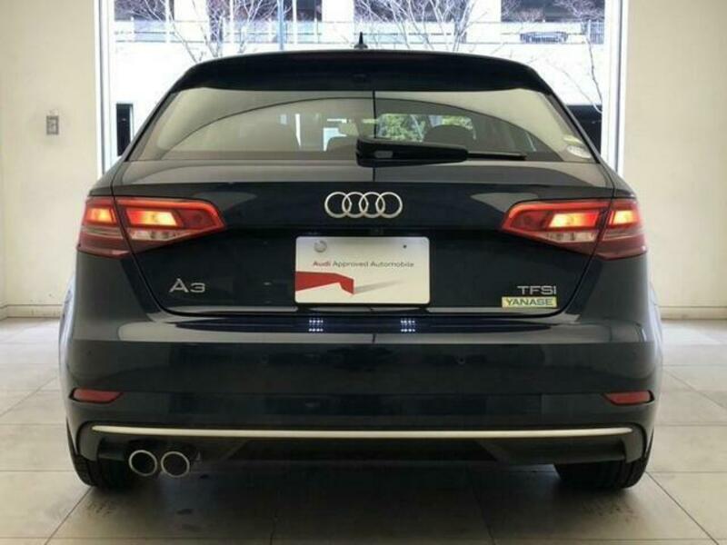 A3