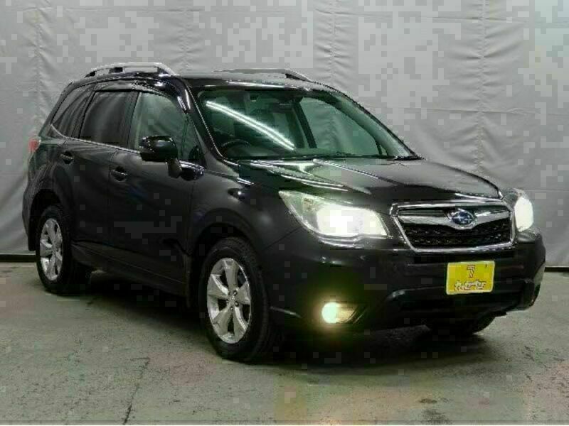 FORESTER-16