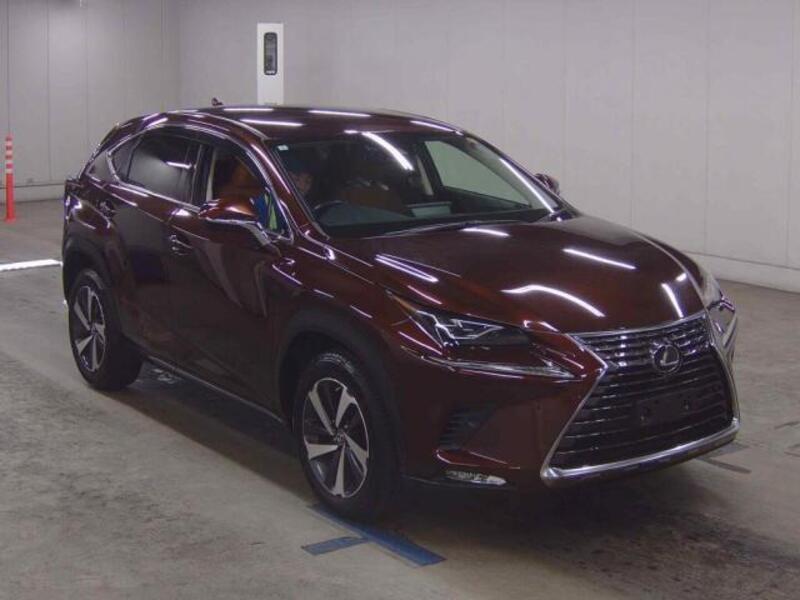 LEXUS NX