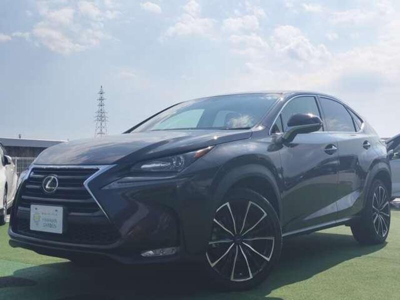 LEXUS NX