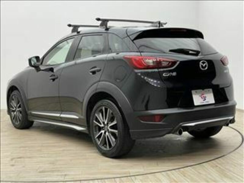 CX-3-13