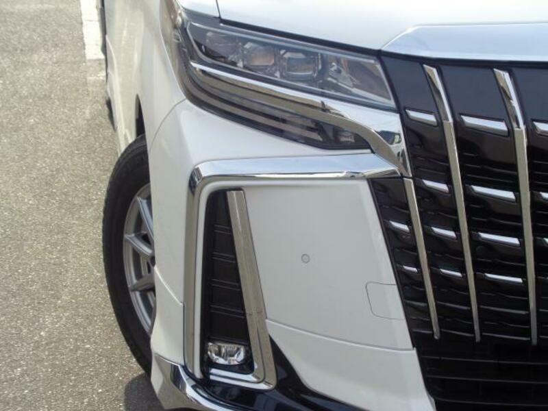 ALPHARD-3