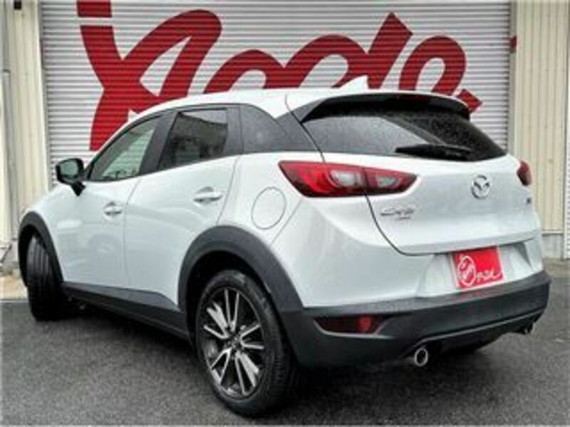 CX-3-1