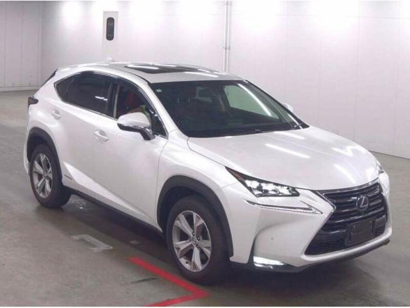 LEXUS NX