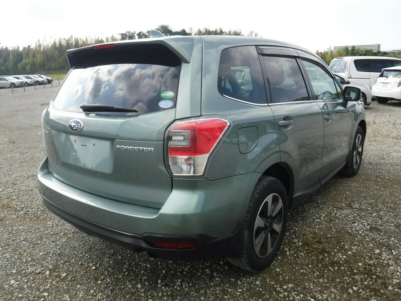 FORESTER-7