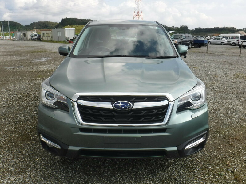 FORESTER-4