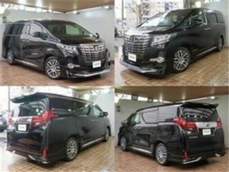 ALPHARD-2