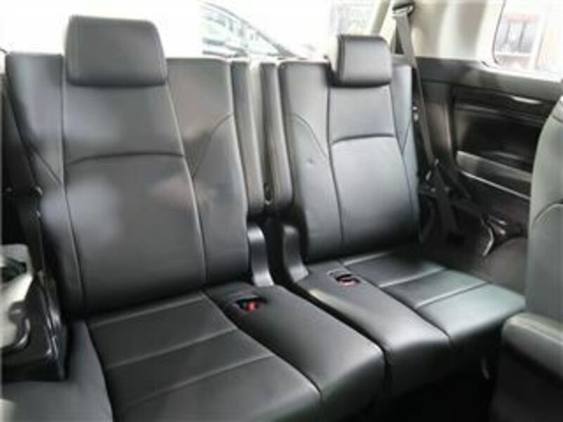 ALPHARD-29