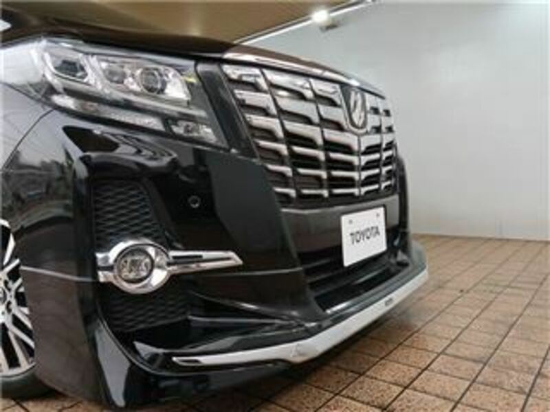 ALPHARD-34