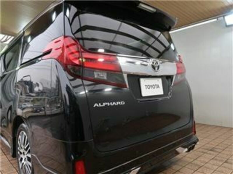 ALPHARD-41