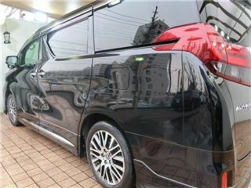 ALPHARD-42