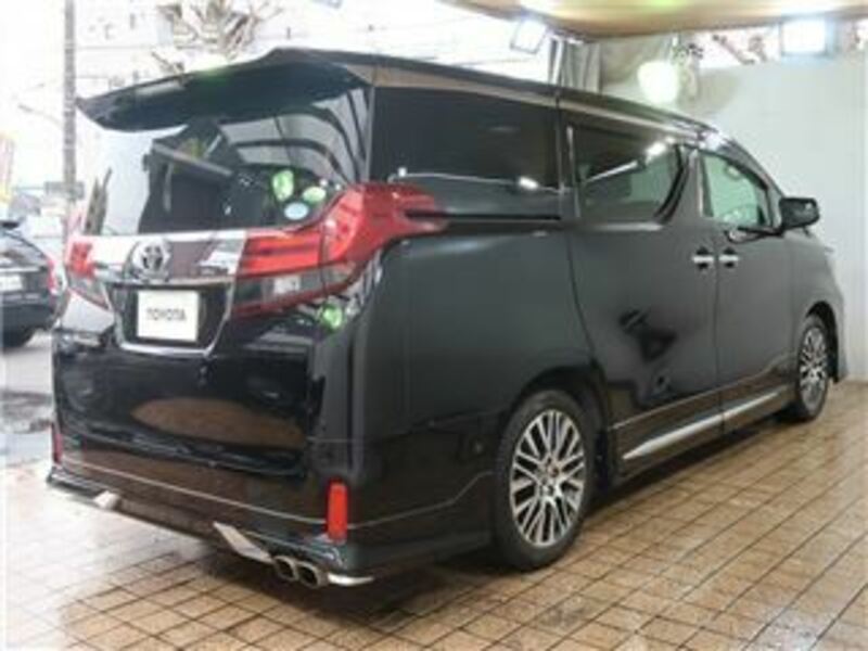 ALPHARD-48