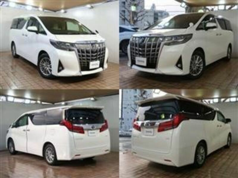 ALPHARD-1