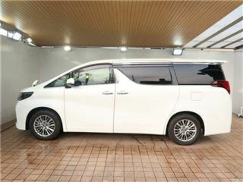 ALPHARD-6