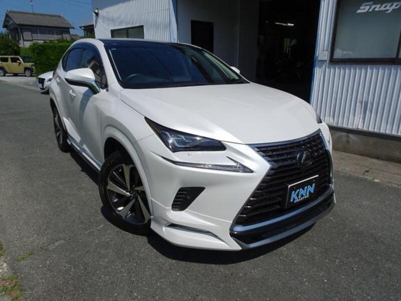 LEXUS NX