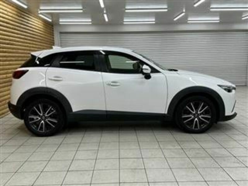 CX-3-13