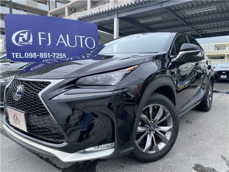 LEXUS NX