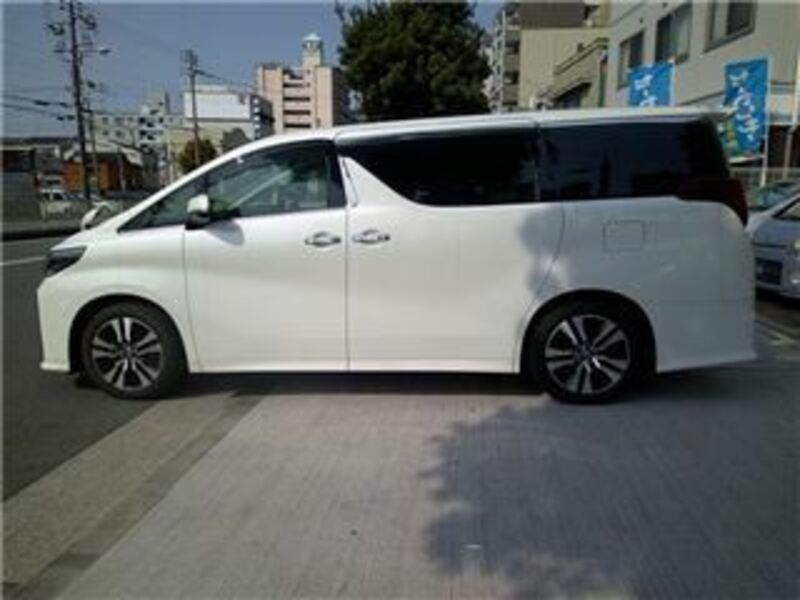 ALPHARD-6