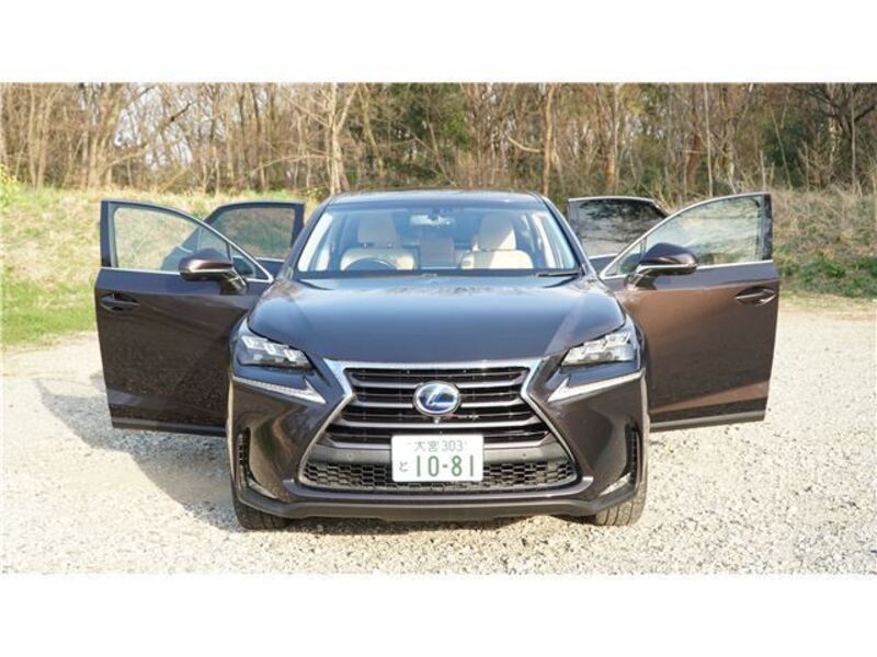 LEXUS NX