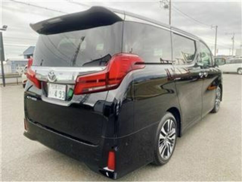 ALPHARD-6