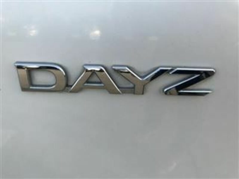 DAYZ-25